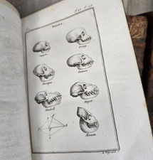 1800 BUFFON - NATURAL HISTORY OF PRIMATES - Monkeys and Apes With 35 Engravings
