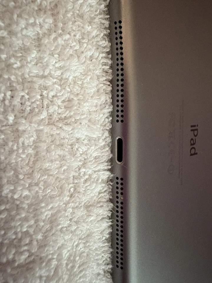 Apple iPad Air 1ª Generación Foto 3 de 4