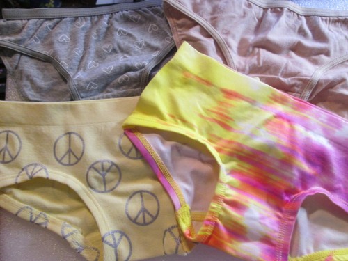 New Hanes,FruitLoom Etc Size 6 Girls' Bikini Briefs 4 Pack Your Choice of Group! - Picture 24 of 37