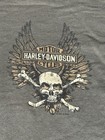 Harley Davidson Shirt Mens 2XL Green Skull Wings Dealer Burlington NC Graphic