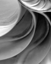 Fine Art Photography, Black and White print, 8x10, Shell Abstract, Seashell Pics