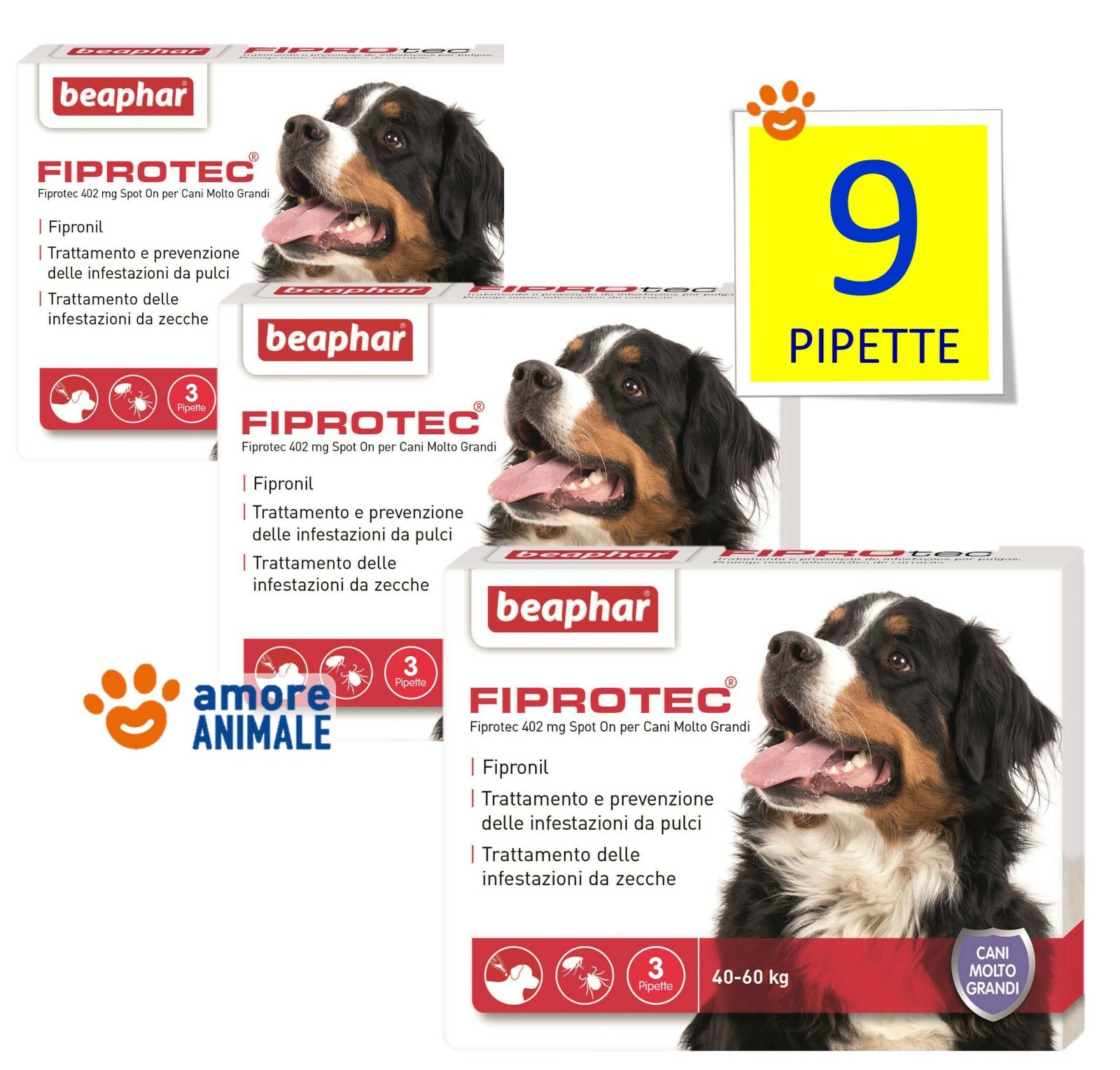 Foto 1 di 1