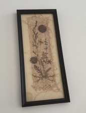 Vintage Wood Framed Pressed Dried Flowers Wall Art Decor