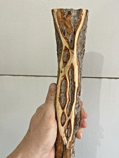 58" Diamond Willow Rustic 40   s Walking Stick, Dead, Colorful, Cane