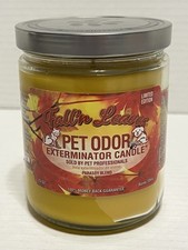Pet Odor Exterminator Candle 13oz Jar  Fall  n Leaves  Limited Edition Dog New