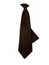 St. Patrick Boy's Clip-on Tie Hanky Set Solid Dark Brown 100 Polyester 12" Long