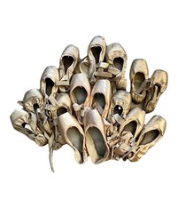 Used Dead single pair pointe shoes worn by professional ballerina