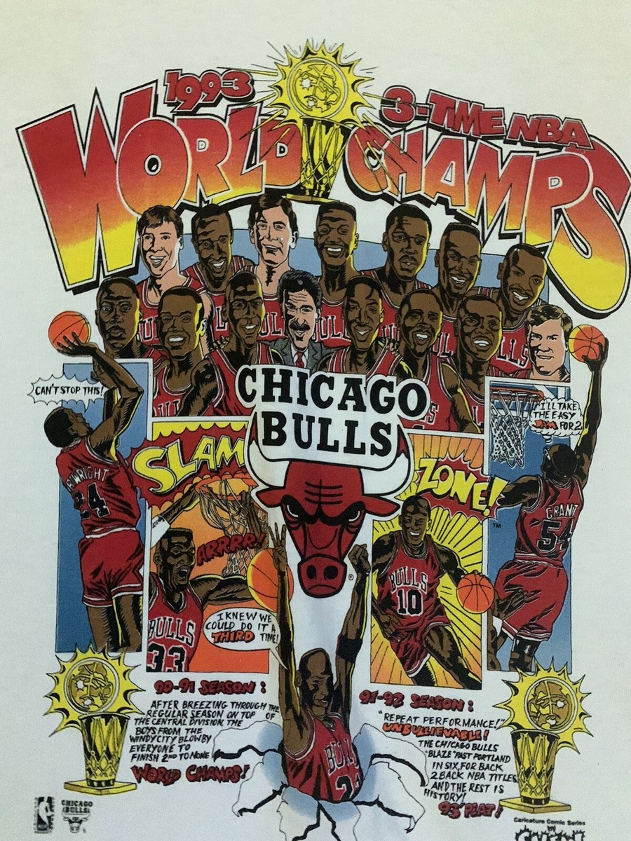 デッドストック　chicago bulls 3PEAT 1993 NBA Vintage Deadstock 1993 Chicago Bulls 3-Peat T-Shirt 90s NBA