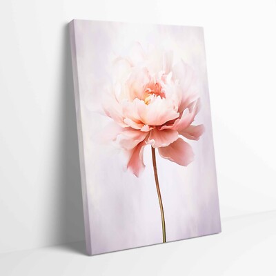 Atemberaubende Pfingstrose Blume aufgespannte Leinwand oder ungerahmtes Poster weitere Größen