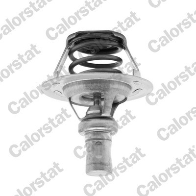 KÜHLMITTEL THERMOSTAT FÜR RENAULT, DACIA - CALORSTAT BY VERNET TH5284.86J
