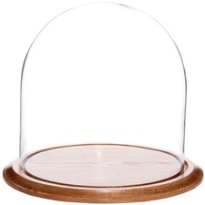 Plymor 11.75" x 12" Glass Display Dome Cloche (Oak Wood Base)