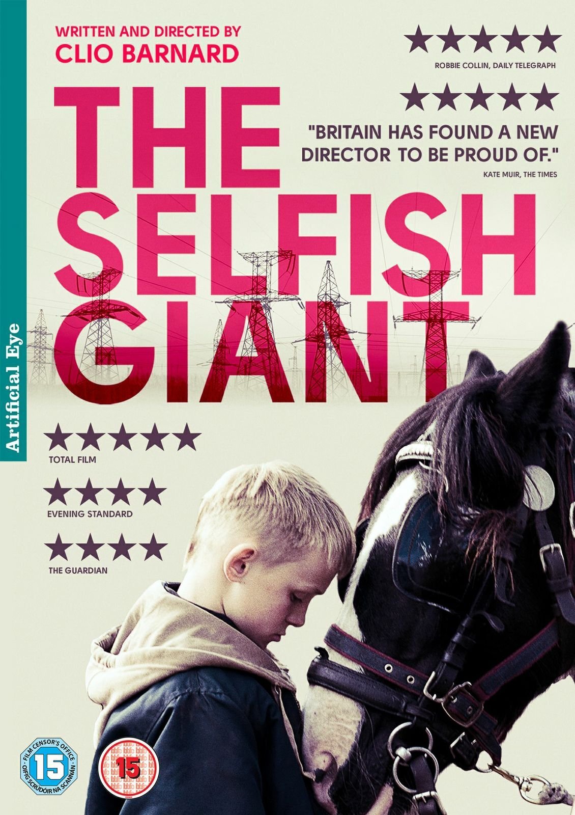 The Selfish Giant (DVD) Conner Chapman Shaun Thomas Sean Gilder Siobhan Finneran