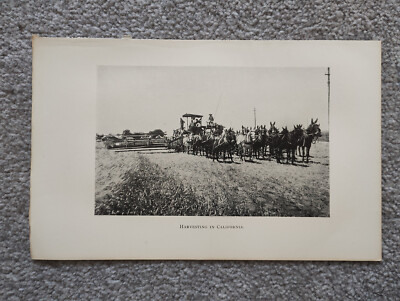 Ernte in Kalifornien - antiker Druck - 1909