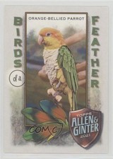 2021 Topps Allen & Ginter's Birds of a Feather Orange-Bellied Parrot #BOF-9 w7v