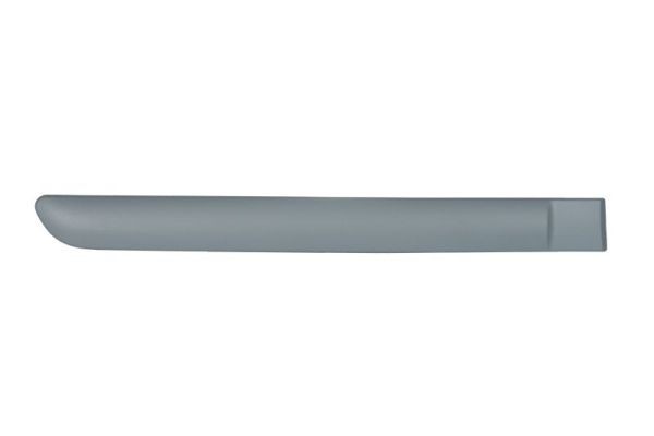 Left Rear BLIC 5703-04-0519578P Trim/Protection Strip, wing for CITROËN