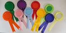 Political Party/ Schools/ Equestrian Rosettes.Pack of 10. For You To Personalise