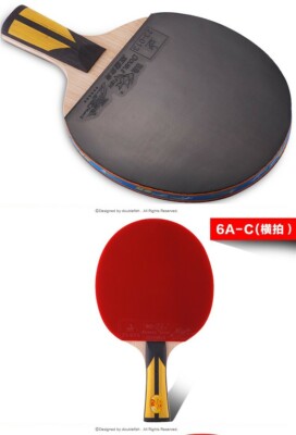 Picked Nice Deal Double Fish 6*, DHS Ping Pong Racket Table Tennis Paddle, Balls