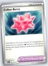 Pokemon Colbur Berry SV08: Surging Sparks Uncommon #168/191