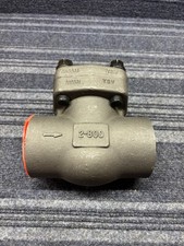 2" Warren check swing 853-8-S Class 800 (T4)