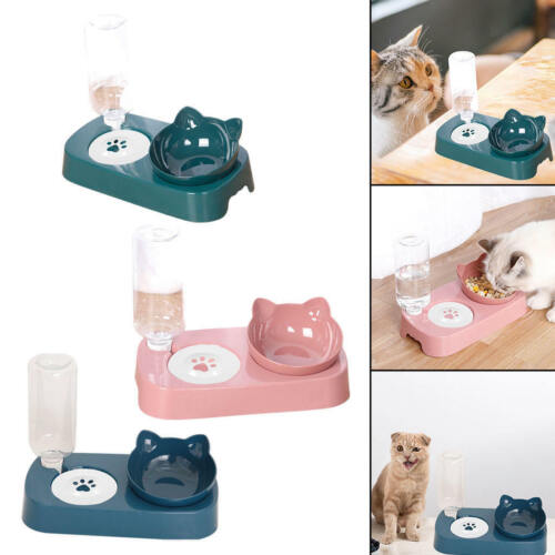 Durable Double Dog Cat Bowls Feeder Tilted Stand Puppy Cats Feeding Station - Picture 1 of 14