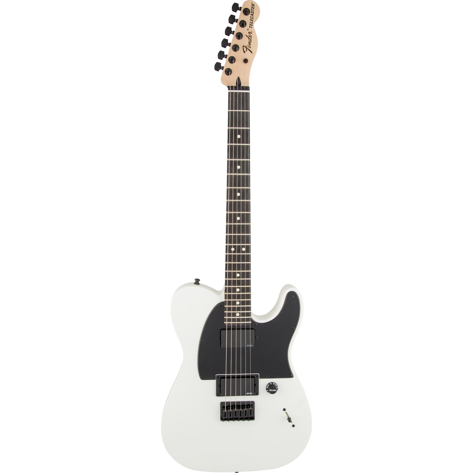Fender Jim Root Signature テレキャス(週末値下げ)