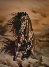Dusty Stallion In Motion 9x12 inch. HD Metal Reprint On Chromaluxe Aluminum