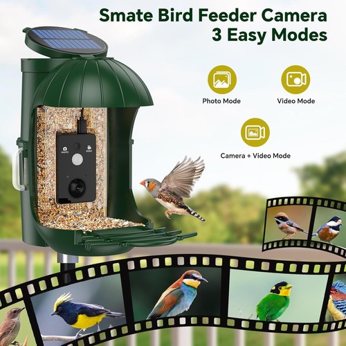 Vogelfutterspender mit Kamera | Vogelhaus Kamera mit Solar | Futterstationen DE - Bild 11 von 19