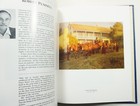 Bild 7 von 9