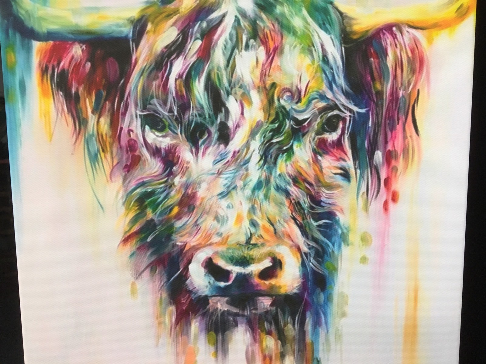 Colourful Long Haired Highland Cow Art Printed On Canvas Wall Home