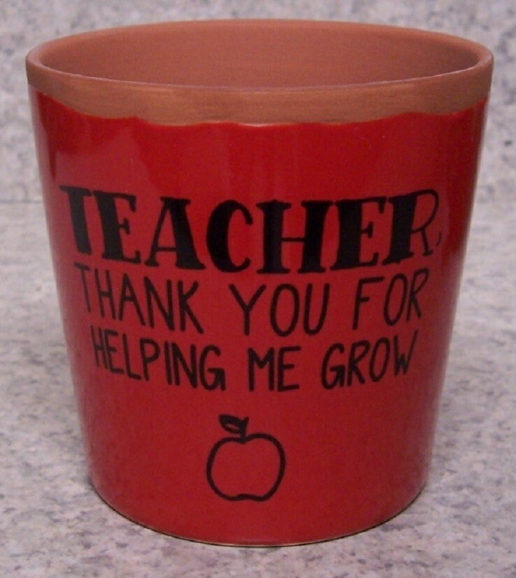 Flower Pot Teacher for Succulent Tillandsia plant resin planter NEW 3½” tall