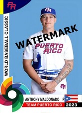 ANTHONY MALDONADO WORLD BASEBALL CLASSIC 2023 CUSTOM CARD
