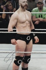 Sheamus WWE Hand Signed 12X8” Photo 