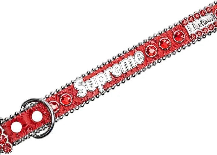 Supreme B.B. Simon Studded Dog Collar Red Medium Cow Leather