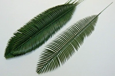 12 St. 70 cm Palmwedel Kunstpalmen Künstliche Blätter Deko Floristik Strauß L55 - Bild 1 von 4