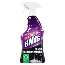 Black Mould Remover 750ml Effortless Shine for Damp Areas 6.53 per litre