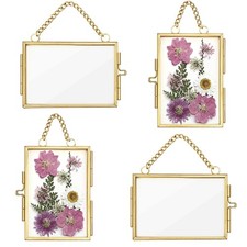 4Pcs Double Glass Frame for Pressed Flowers, 2x3 inch Picture Frame Mini Bras...