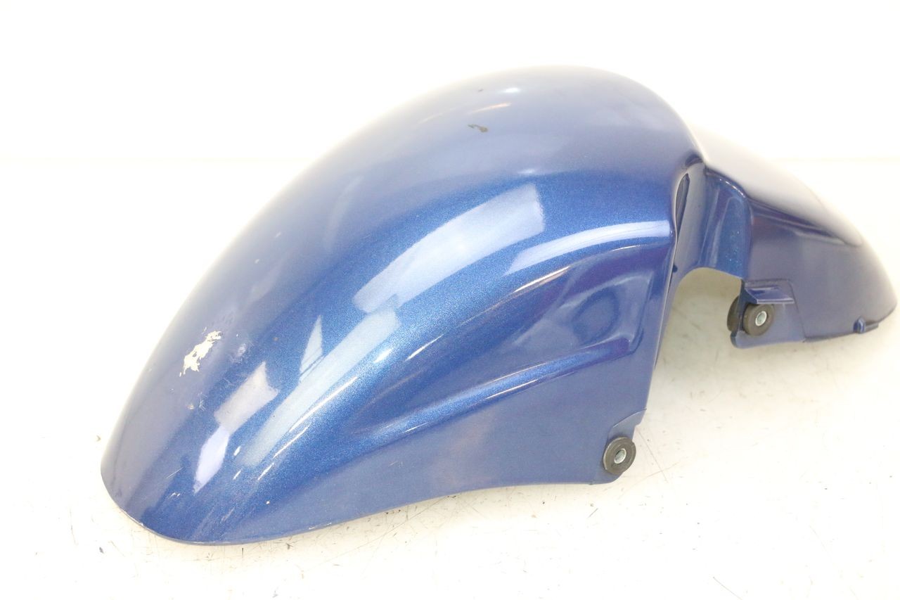FRONT MUDGUARD - PIAGGIO X9 EVOLUTION 125 (2003 - 2007)
