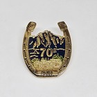 Matanuska Colony's 70th anniversary Pin Pioneers Of Alaska 89 Convention Palmer — photo 6