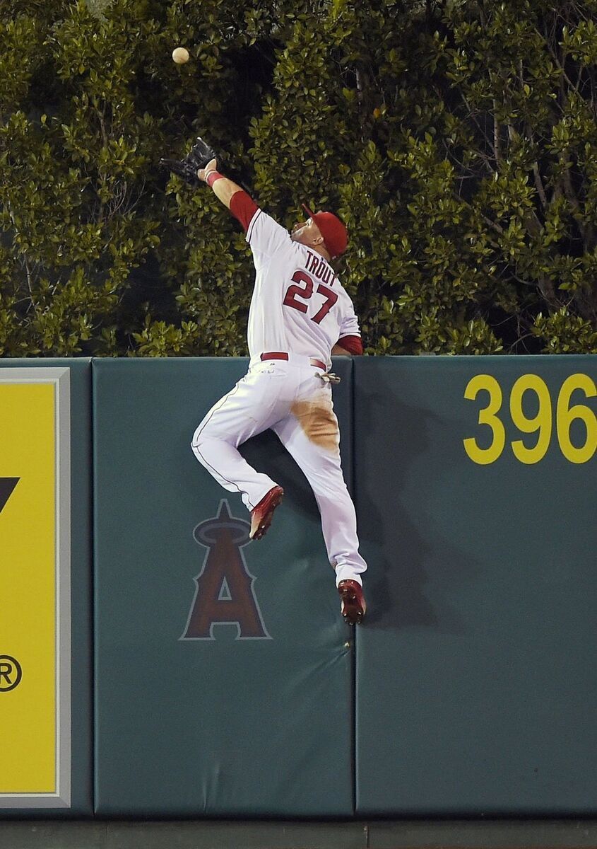 MLB Superstars Los Angeles Angel Mike Trout Jumping To Catch Ball 8x10 Picture C