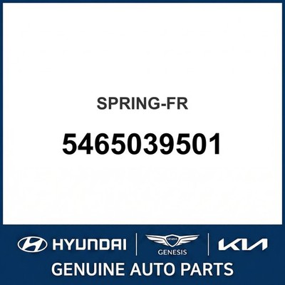 2000-2005 Hyundai XG300 Feder-Vorne OEM Neu 5465039501