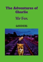 Godders | The Adventures Of Charlie | Taschenbuch | Englisch (2023) | Mr Fox