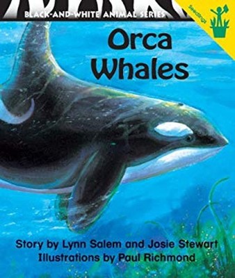Orca Whales Paperback L. Salem