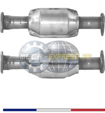 Catalyseurs Rover 216