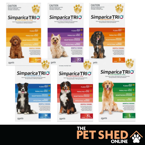 flea tick heartworm simparica
