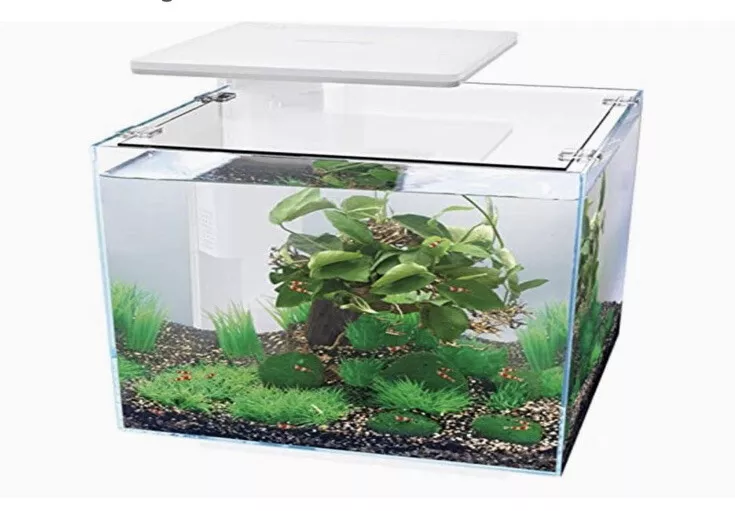 30 litre top fish tank