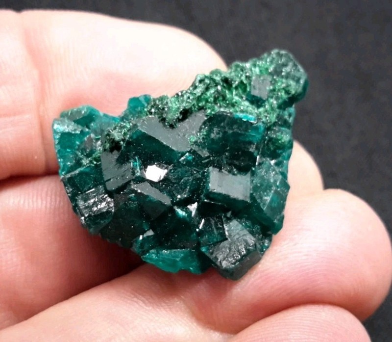 32mm DIOPTASE Crystals from the Democratic Republic of CONGO 