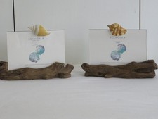 Sonoma Frames with Shells and Driftwood, Lot of 2