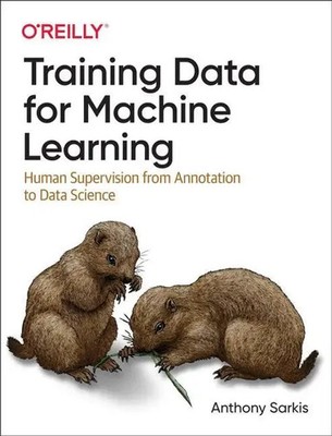 Training Data for Machine Learning | Anthony Sarkis | Englisch | Taschenbuch