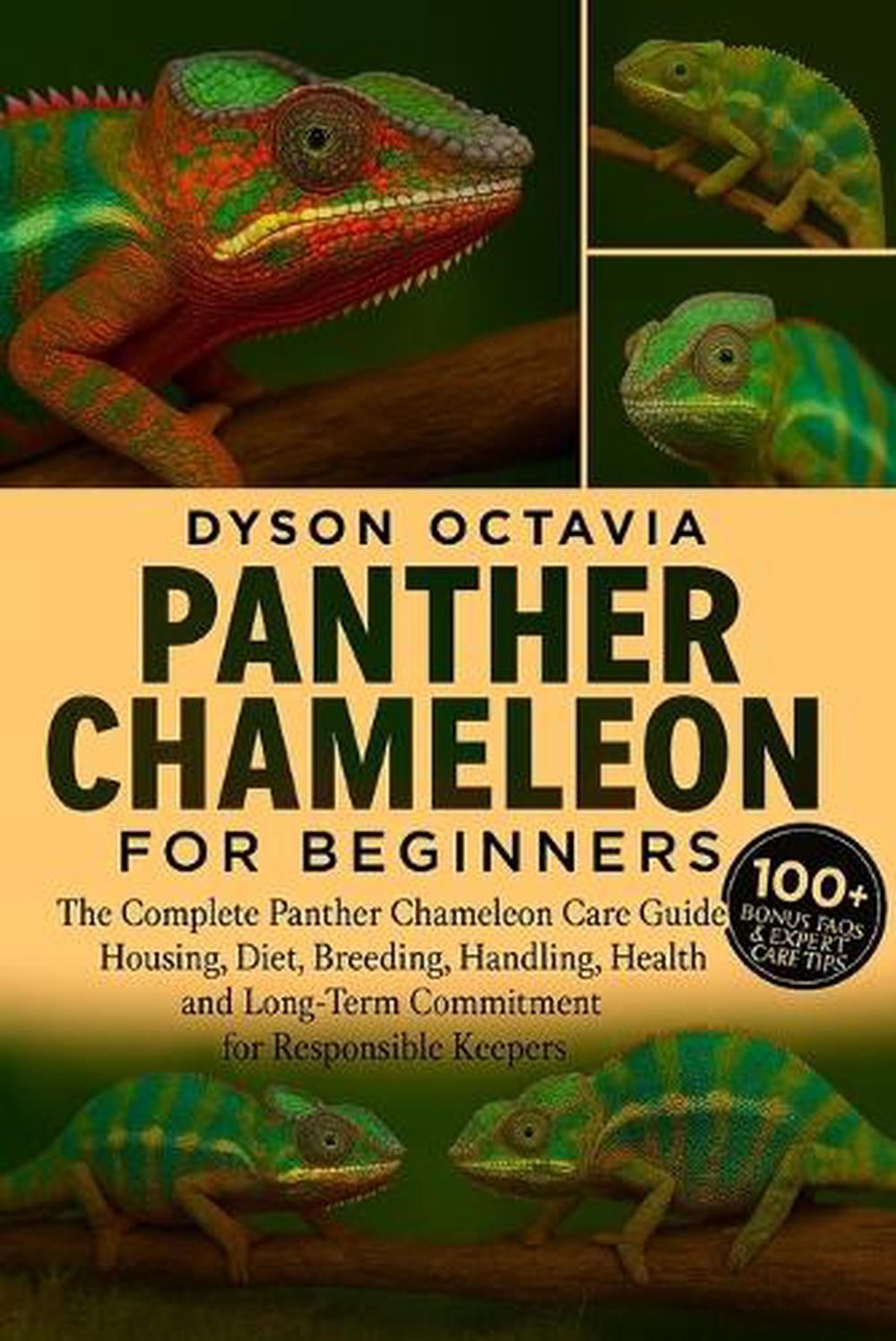 Comprehensive Guide to Panther Chameleons