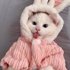 Warm Winter Clothes for Kittens Cute Bunny Appearance Cat Clothes Puppy Cute Coa